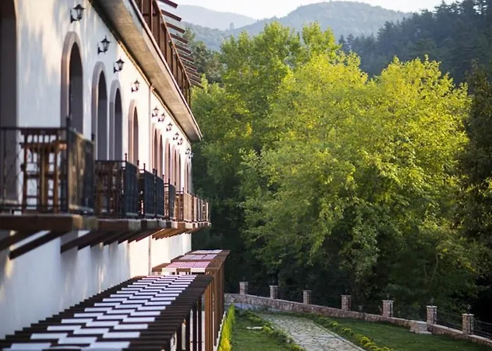 Kazdagi Thermal & * Яниклар